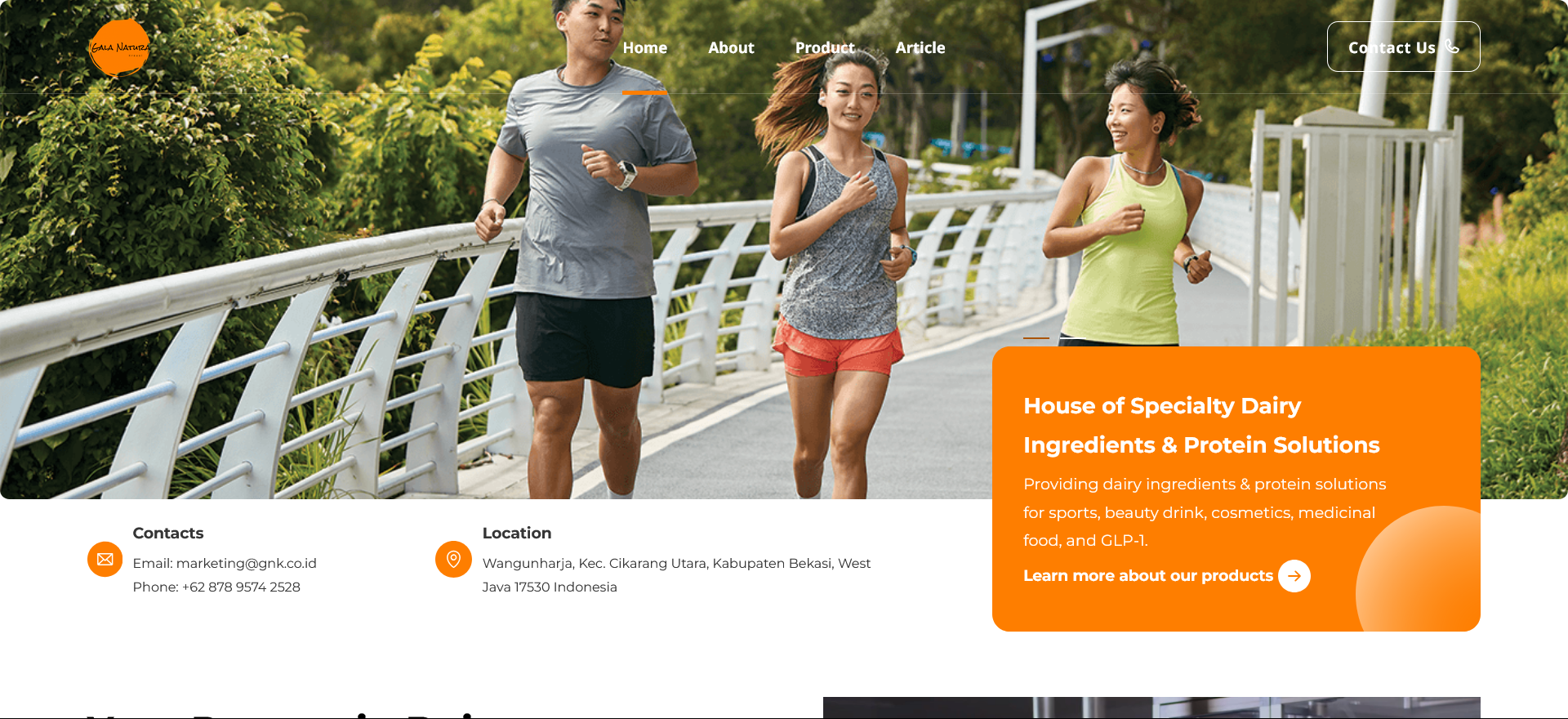 Web company with a focus on the development of a website for a company.